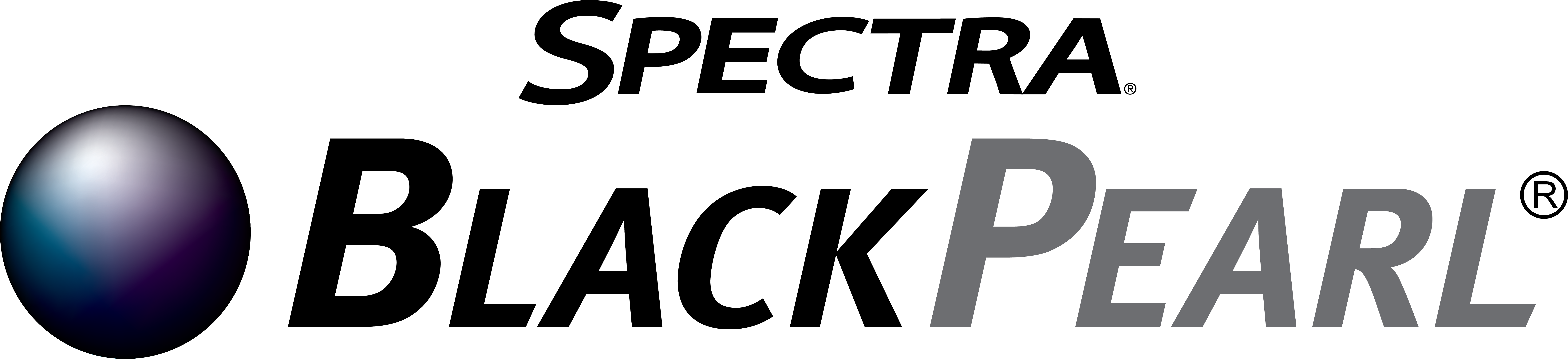 BlackPearl_Portal_Disk_Page